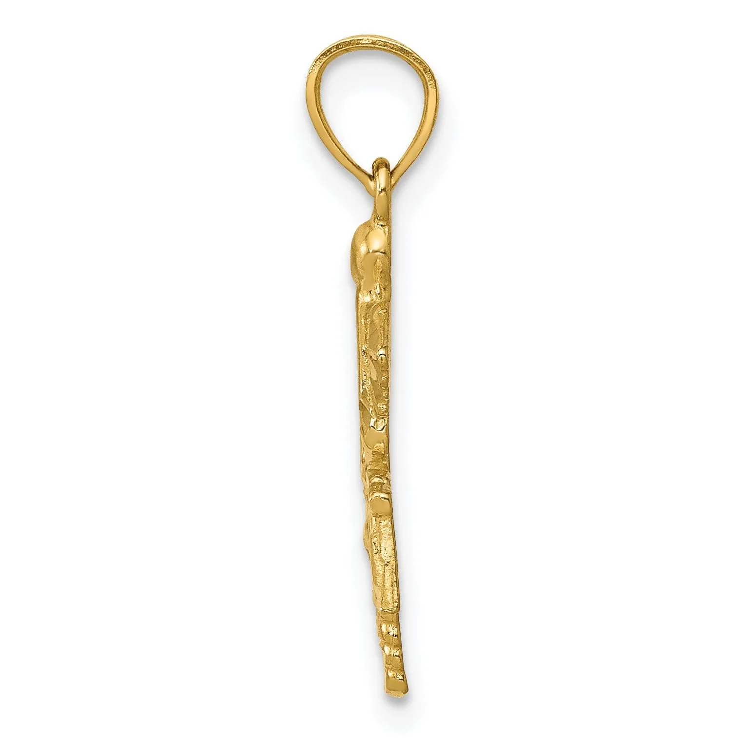 14k Yellow Gold Solid Polish R.N Nurse Pendant