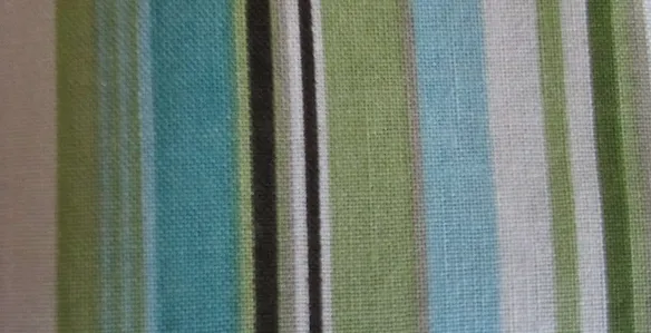 cfo Pacific Palisades Collar