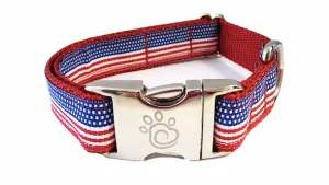 cfo USA Pride Collar