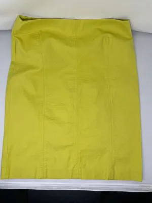 Essentials G Skirt, size 8. #870
