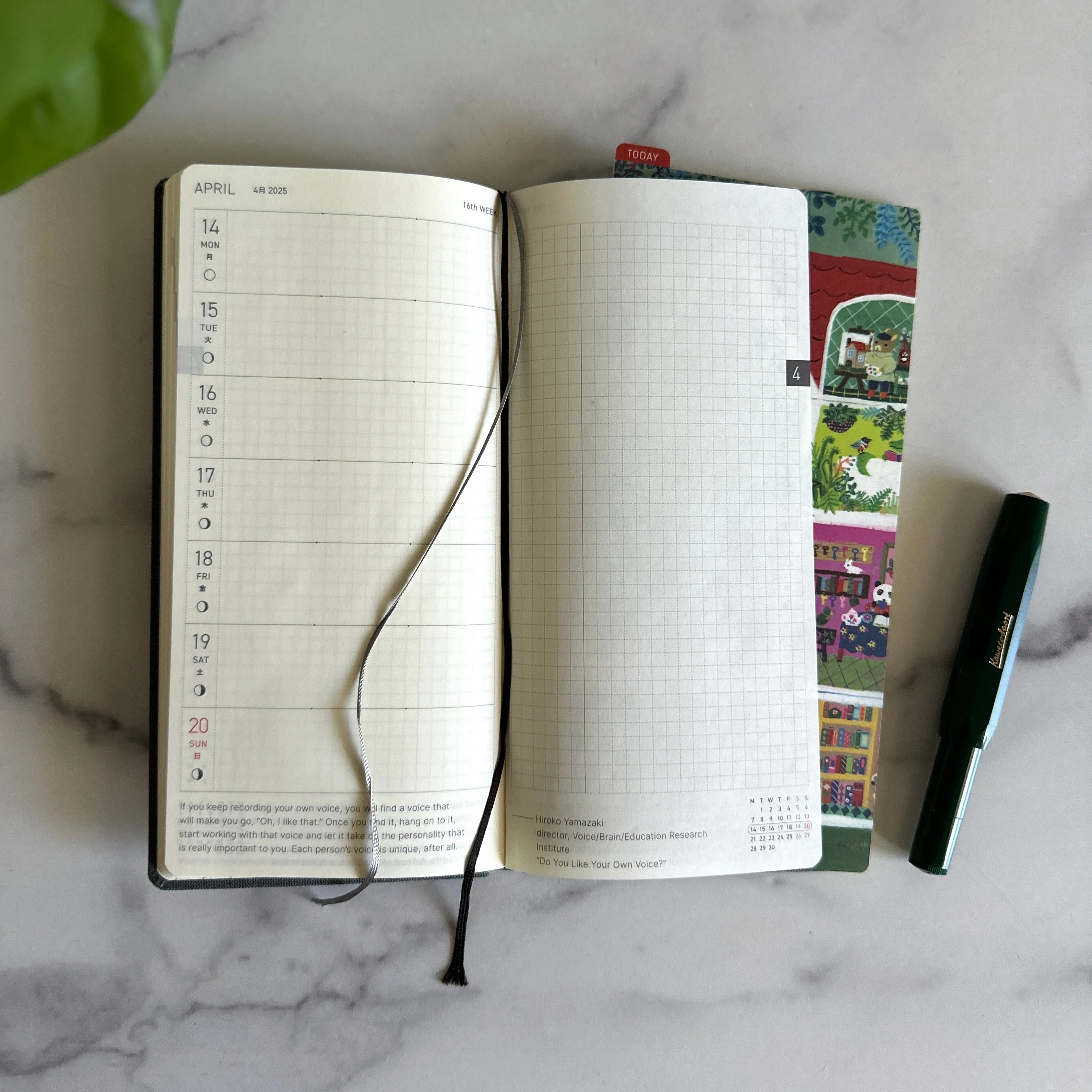 [Hobonichi Pencil Board] Animal Condo (Weeks)