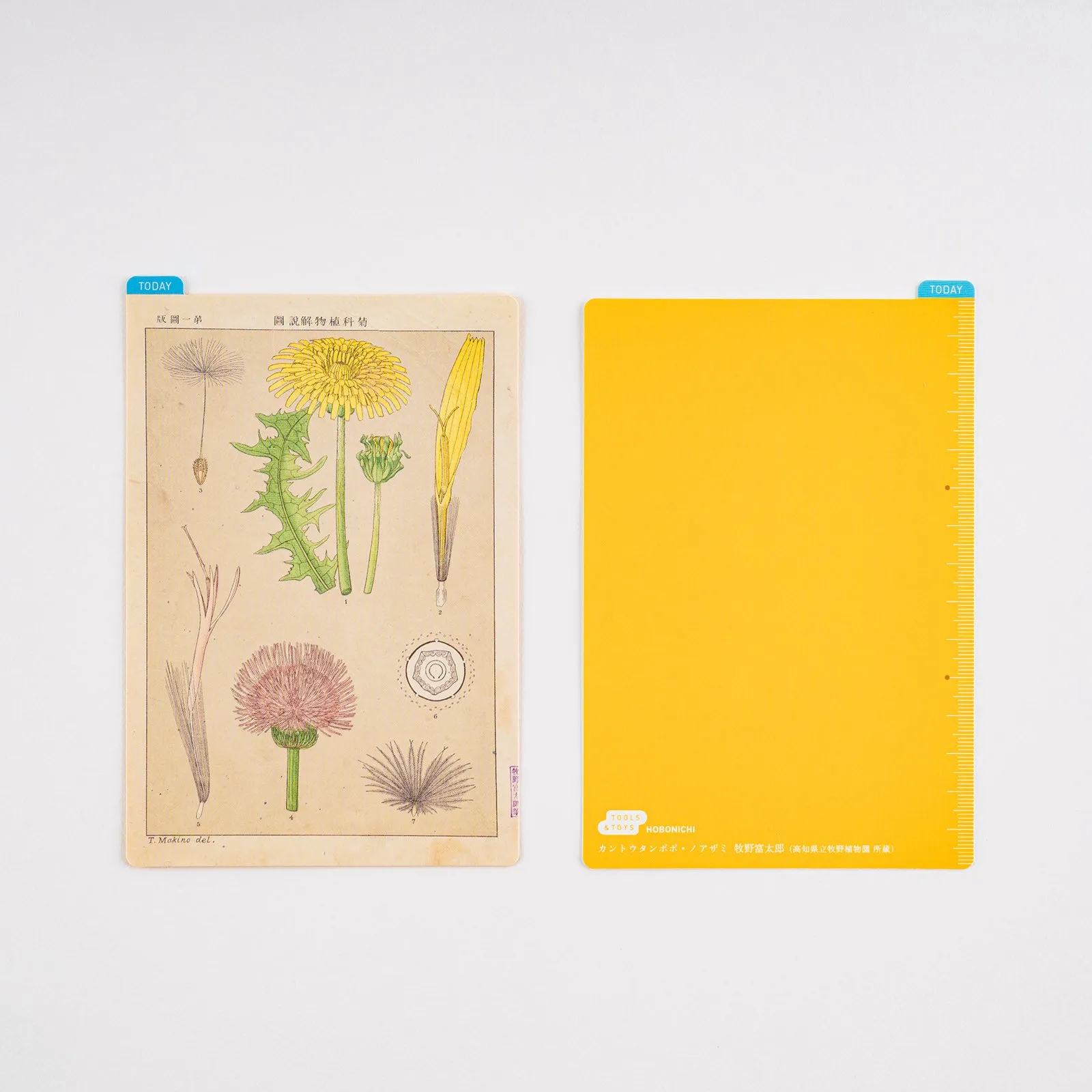 [Hobonichi Pencil Board] Tomitaro Makino (A6)