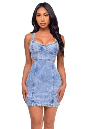 Latest Obsession Denim Dress