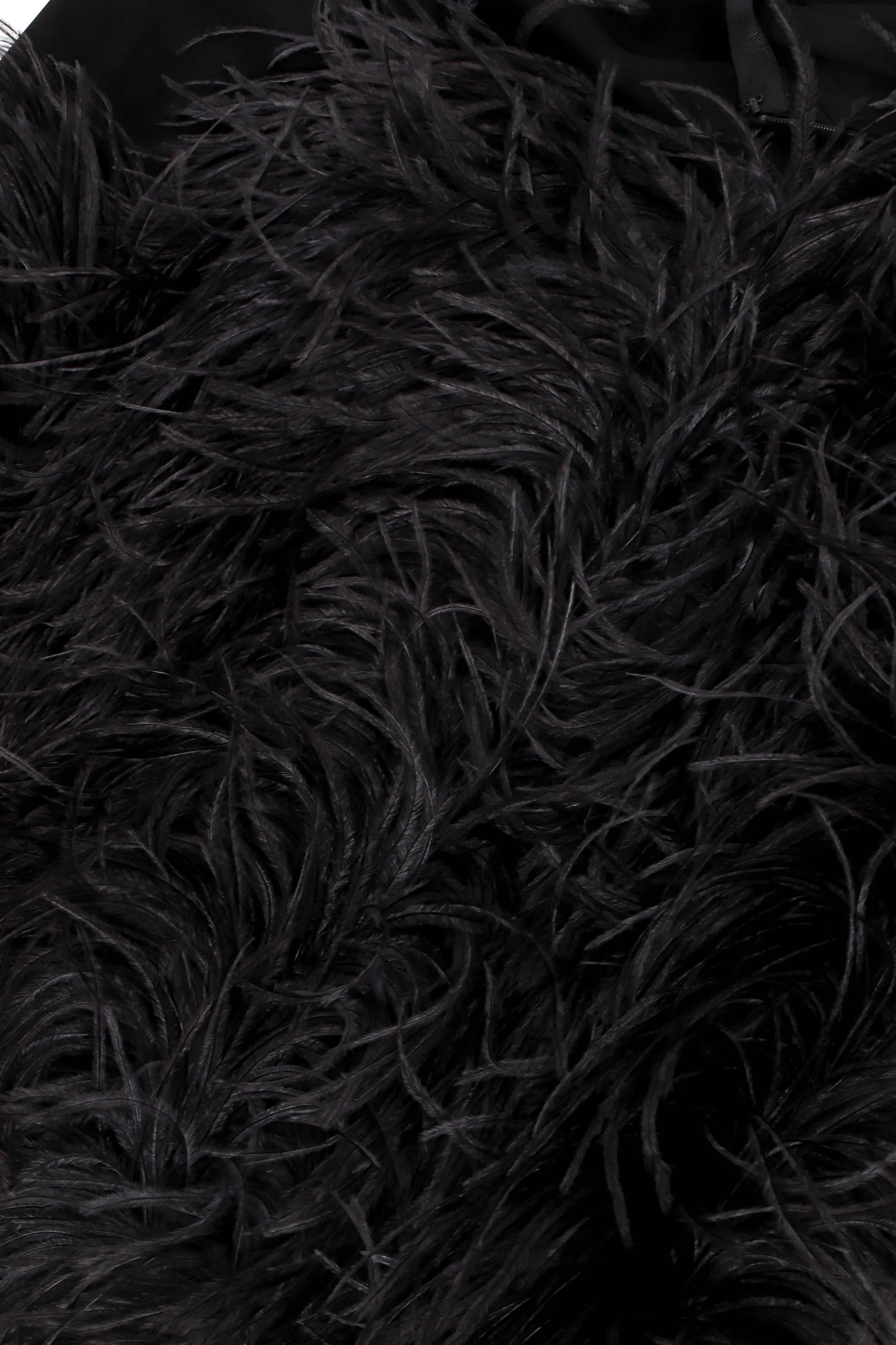 Ostrich Feather Pencil Skirt